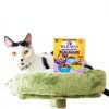 Wellness Cat Food Pouches Protein Rich Complete Nutrition-6