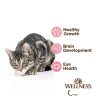 Wellness CORE Tiny Tasters Kitten Grain Free Cat Food-3