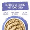 Weruva Cat Food Pouches Grain Free Variety Pack Paté-6