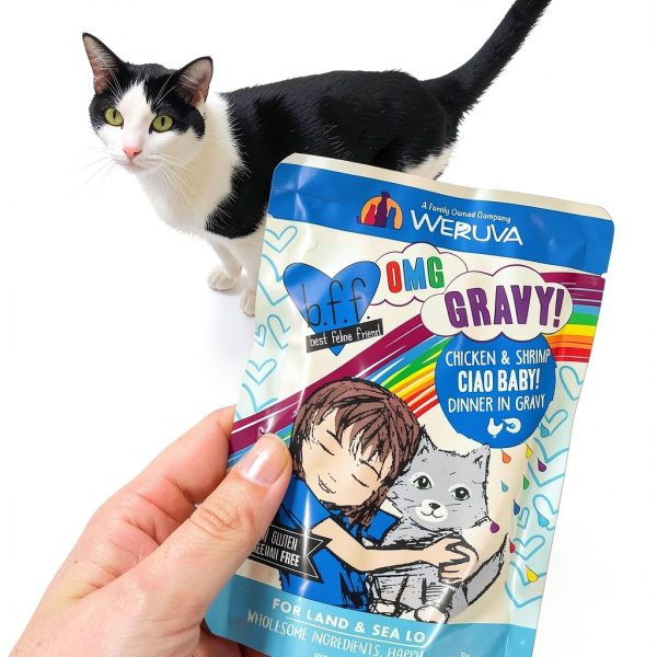 Weruva BFF OMG Cat Food Variety Pack Grain Free-9