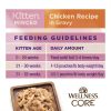Wellness CORE Tiny Tasters Kitten Grain Free Cat Food-9