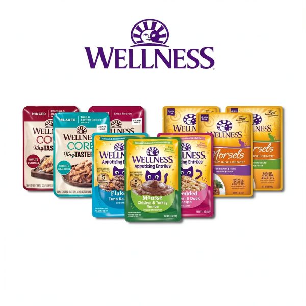 Wellness Cat Food Pouches Protein Rich Complete Nutrition-9