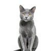 Sheba Perfect Portions Wet Cat Food Cuts in Gravy-2