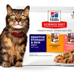 Hills Cat Food Pouches Sensitive Stomach Skin Care-0
