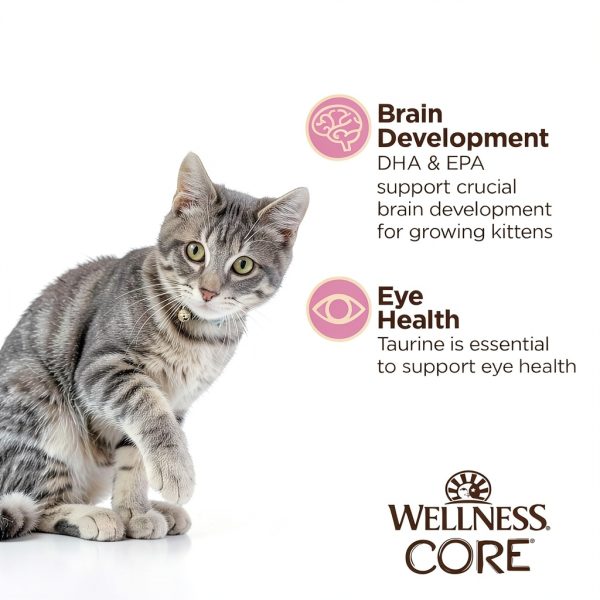 Wellness CORE Tiny Tasters Kitten Grain Free Cat Food-4