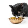 Tiki Pets Cat Food Pumpkin Puree Grain Free Hydration-6