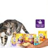 Wellness Cat Food Pouches Protein Rich Complete Nutrition-8