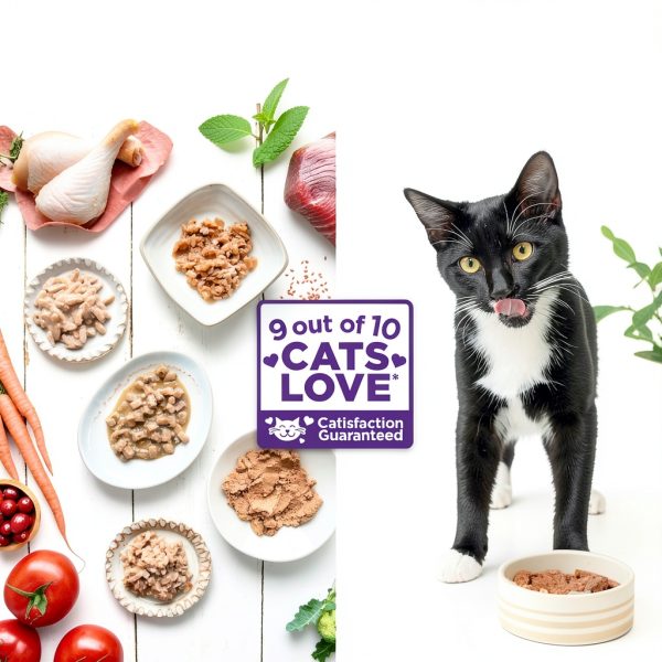 Wellness Grain Free Wet Cat Food Pouches Variety Pack-1