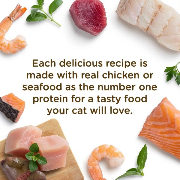 Post Consumer Brands Wet Cat Food Grain Free Chicken Recipe-3