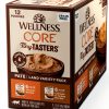 Wellness Tiny Tasters Grain Free Wet Cat Food Topper-0