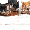 Wellness Grain Free Wet Cat Food Variety Pack Pouches-3