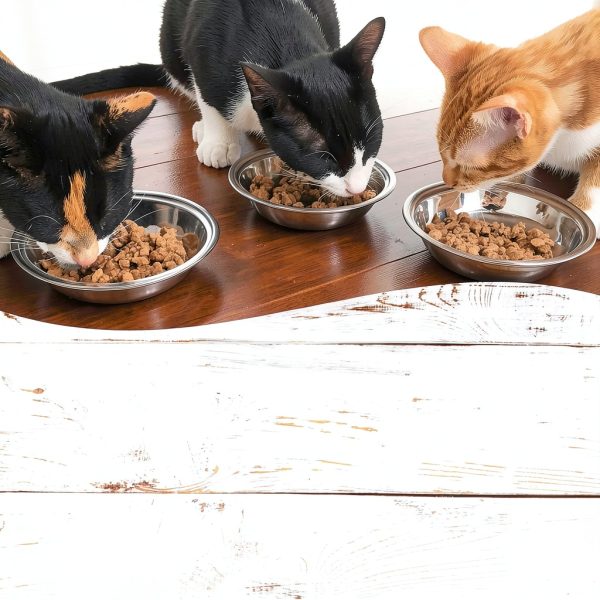 Wellness Grain Free Wet Cat Food Variety Pack Pouches-3
