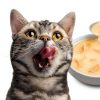 Friskies Cat Food Topper Tender Bits Real Chicken Broth-2