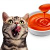 Purina Fancy Feast Gravy Lickable Cat Treat Roasted Chicken-2