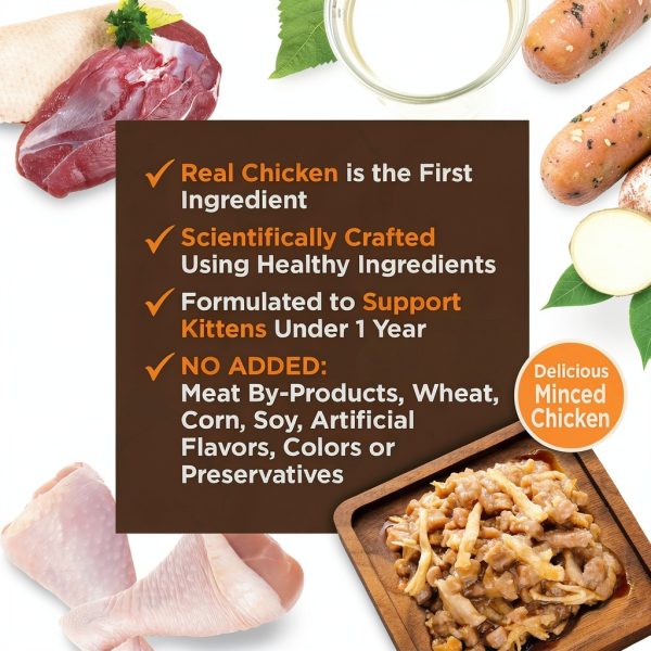 Wellness CORE Tiny Tasters Kitten Grain Free Cat Food-2