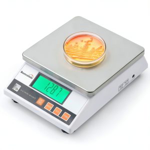 Bonvoisin 0.1g Lab Scale High Precision Stainless-0